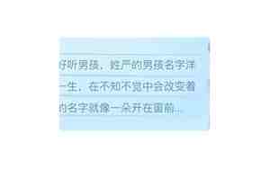 姓严的男孩名字