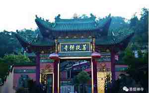 潮阳菩提禅寺在哪里