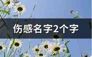 id伤感名字大全