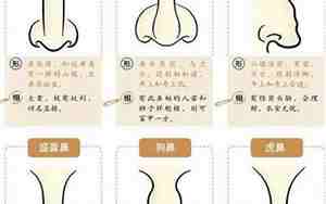 鼻翼短小的鼻子图片