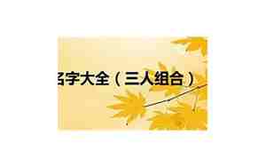 三个人的组合名字怎么起好听呀
