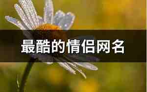 最酷的网名男生