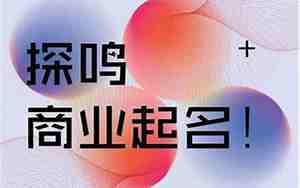 公司名取名打分
