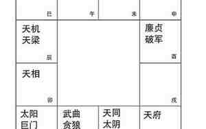 命无正曜格是什么意思