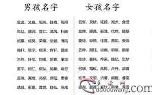 高级又沙雕的名字