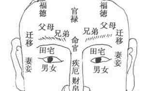 面相十二宫解析大全