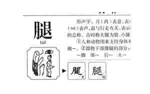 腿起名