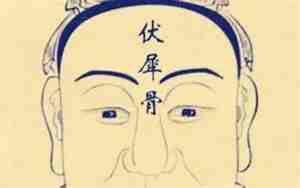 伏犀鼻子面相