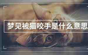 梦见咬别人的手什么意思