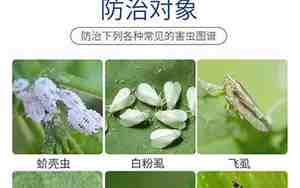 甲维盐啶虫脒主要杀什么虫