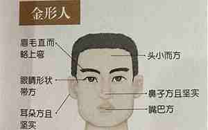 长相好的人面相特点男