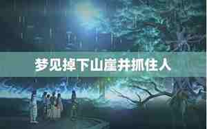 梦见别人掉下山崖人没有事