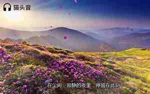 世界最好听的纯音乐排行榜