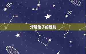 兔子怎么看年龄在哪看