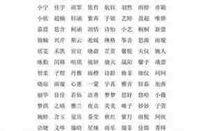带优洋气的女孩名字