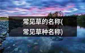 草的名字大全及寓意