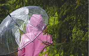 梦见下雨别人借伞给我什么意思