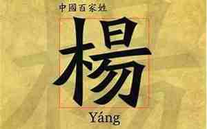 杨姓起名男孩