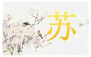 苏姓男孩起名100好听霸气