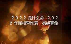 2022年到底是什么命
