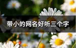 带小的网名好听古风自由大海