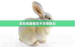 龙和兔属相合不合婚姻