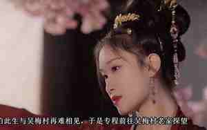 卞玉京简介