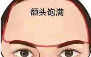 能当大官女人的面相是什么