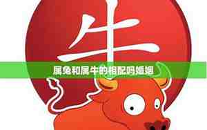 属牛和属兔的婚姻如何