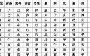 长生取名字