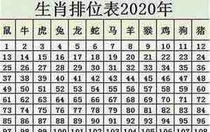 属鼠多大年龄2024