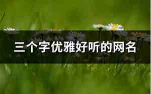1个字网名简单成熟男