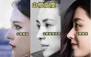 山根低鼻梁高好看吗