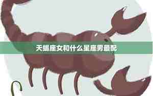 天蝎男配什么星座女生