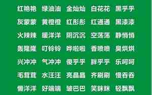 abb式名字不从政