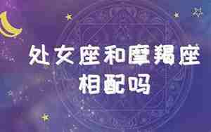 处女摩羯座配对指数