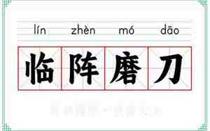 临阵磨刀的下一句是啥