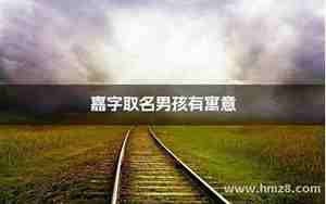 嘉字取名的含义好不好