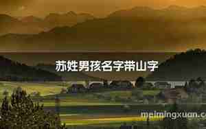 姓苏的男孩名字诗意一点