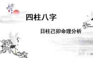 己卯日柱男命妻子特征