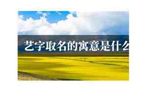 艺字取名的寓意