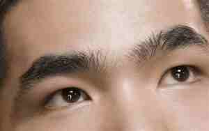 眉毛变长的男人面相图片