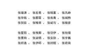 姓张的名字男孩三个字