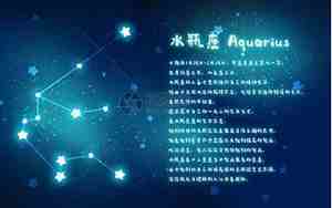 处女座水瓶座合得来吗