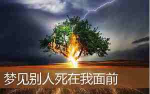 梦见别人不信任自己