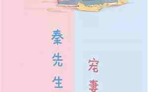 秦先生宠妻日常无弹窗无防盗
