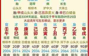 己酉日柱2025年运势