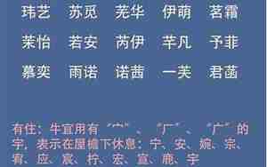 鸢字取名的寓意