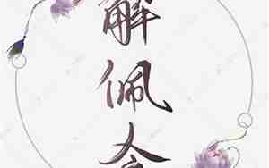 解佩令 小说