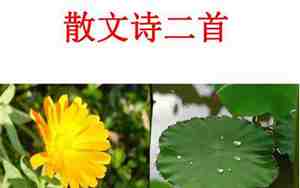 散文诗二首七年级上册课堂笔记